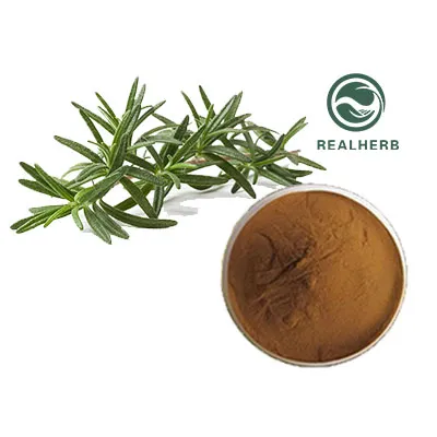 สารสกัดจากโรสแมรี่